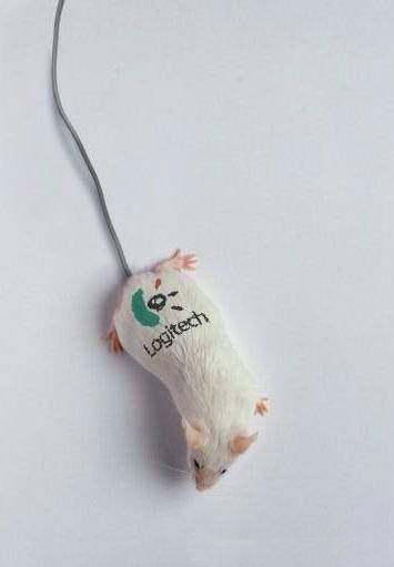 Мышка Logitech