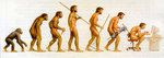 Эволюция и деградация человека